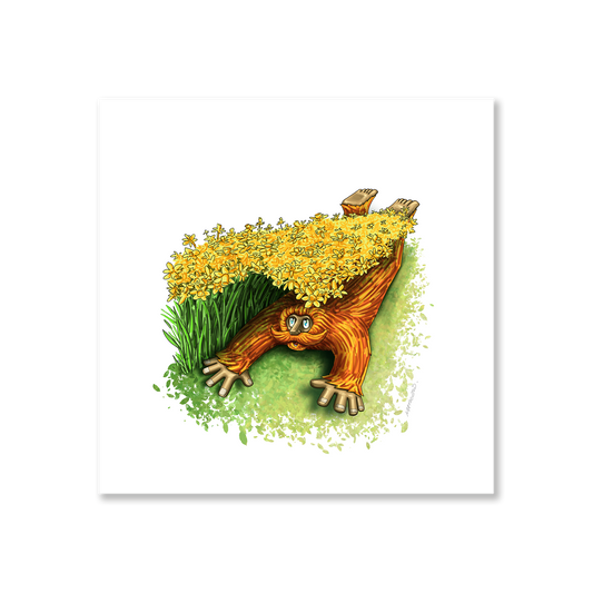 Daffodils Barrel Print