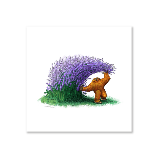 Lavender Barrel Print