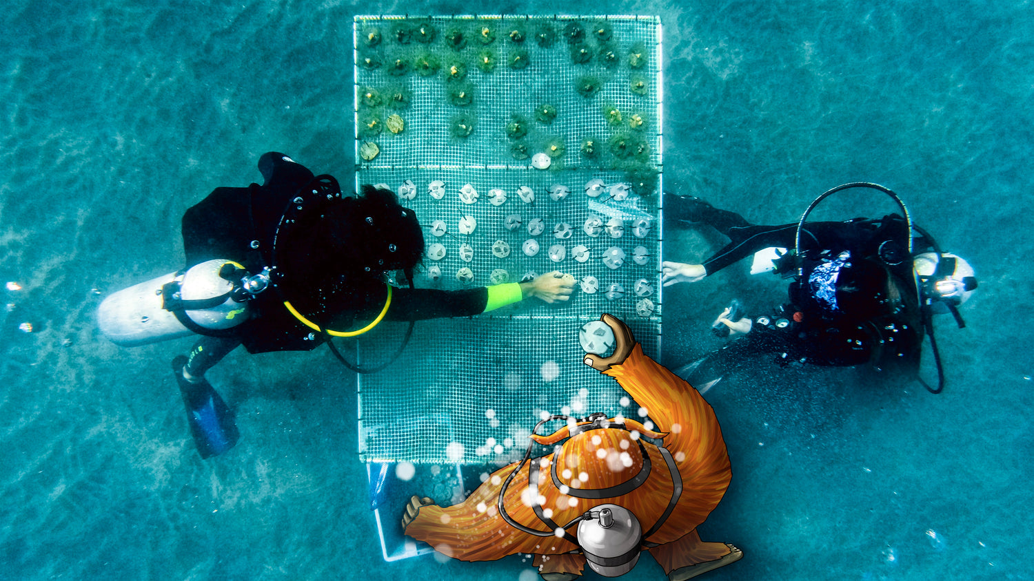 Underwater photo of two divers working on coral reef restoration grid with an illustrated orange sasquatch helping, symbolizing the brand's partner's conservation efforts.