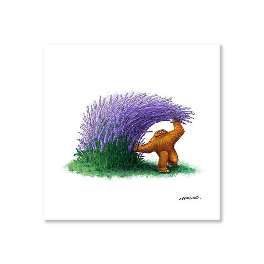 Lavender Barrel Print