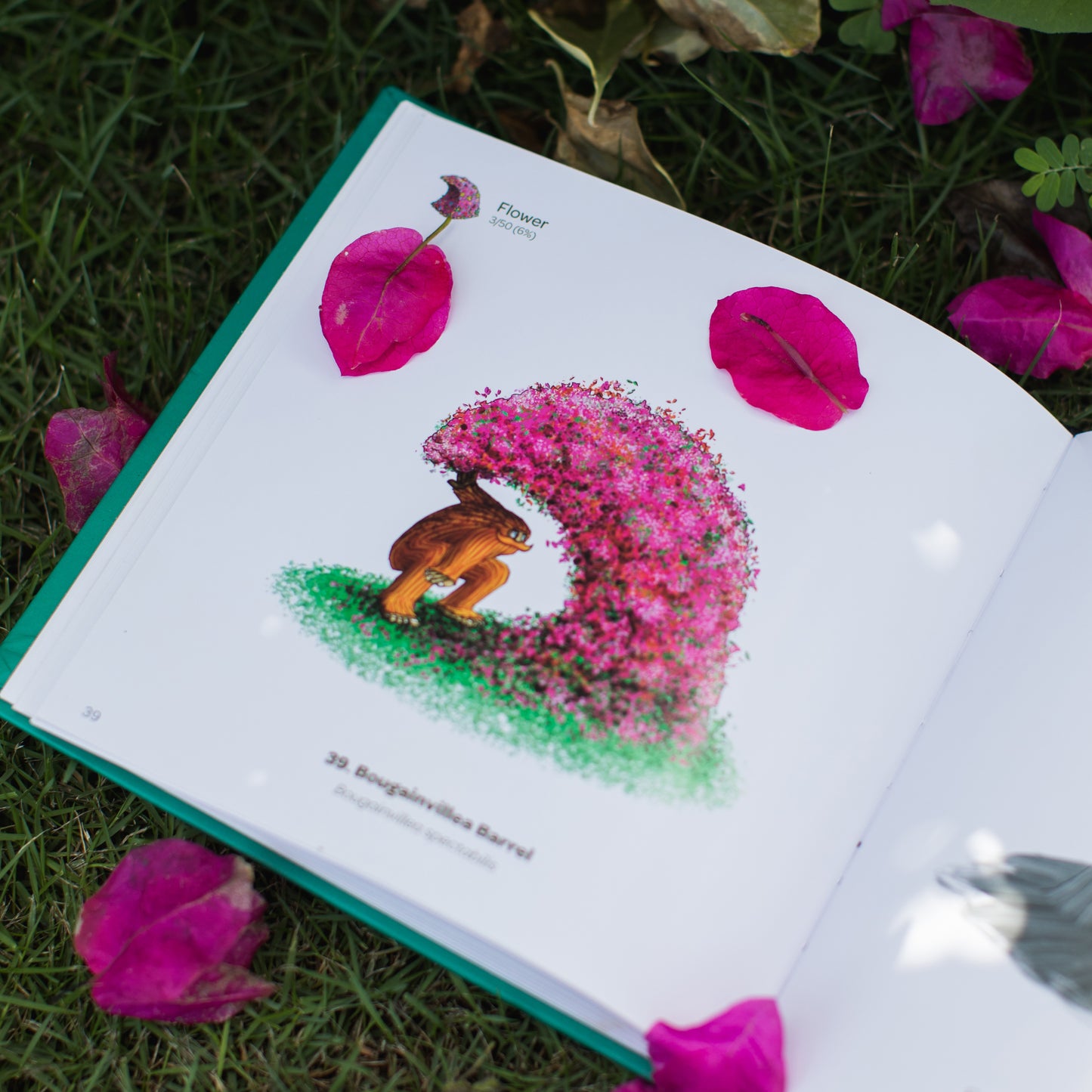 An open hardcover book lies on grass, surrounded by pink flower petals, displaying a vibrant illustration of an orange sasquatch under a birght pink bougainvillea bush adorned with flowers on one page.