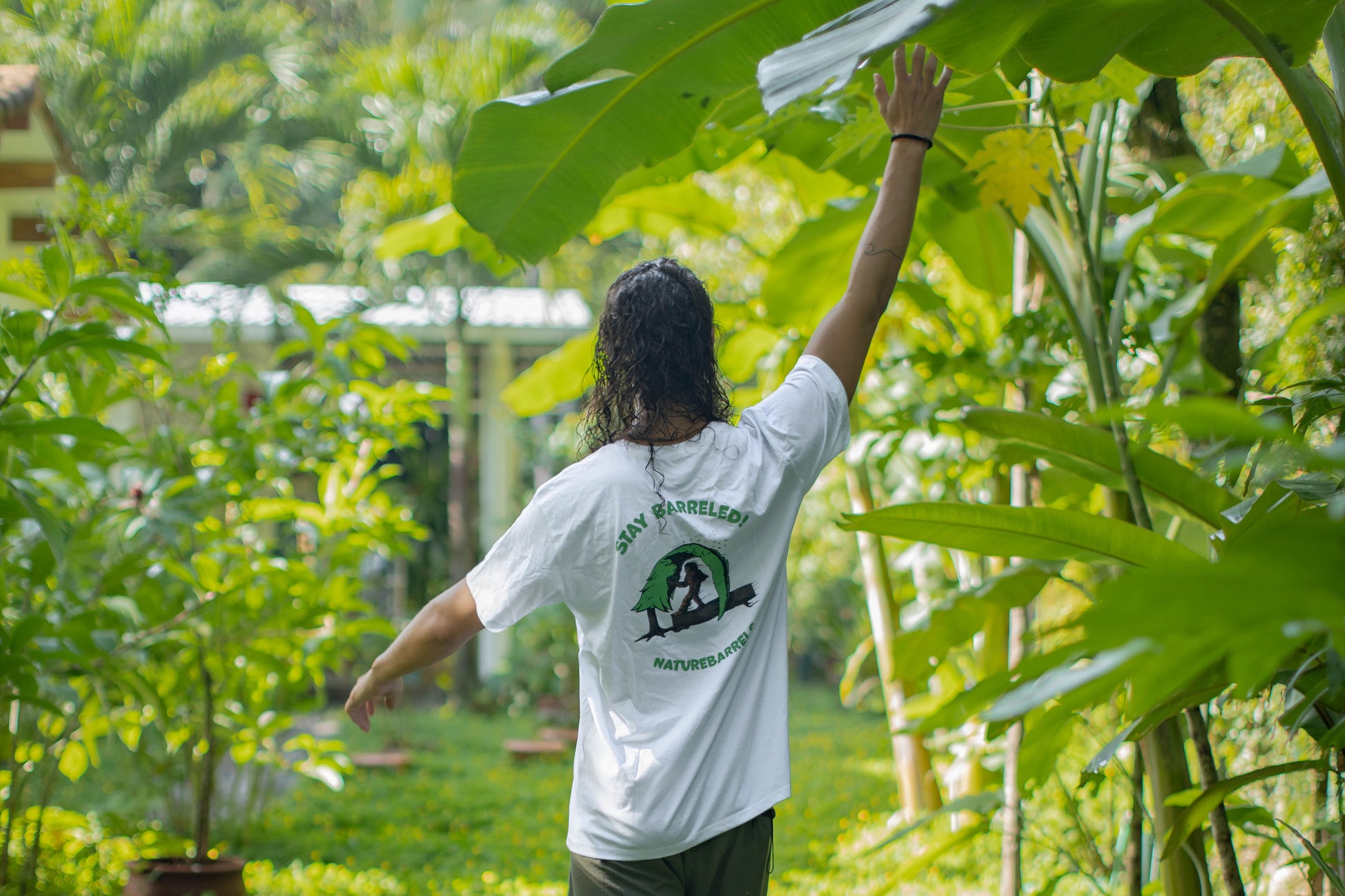 A person stading with his back towards the camera, reaching up towards the foliage, wearing a white 'Naturebarrels' t-shirt with a print of a surfing sasquatch riding a log under a wave-shaped pine tree with green text "Stay Barreled!" above the graphic. 